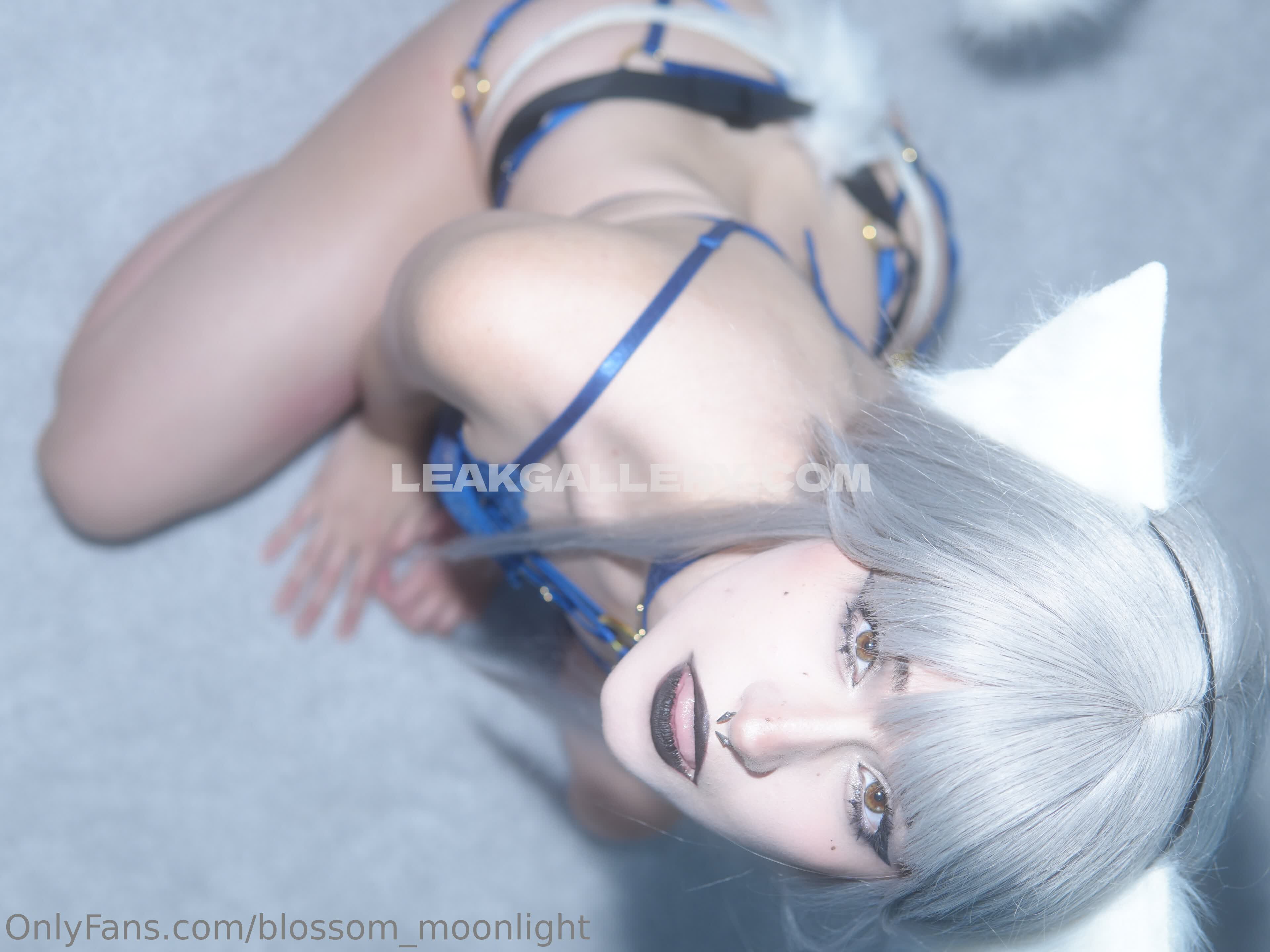 Blossom_moonlight / blossom_in_my_moonlight Exclusive Leaked Nude OnlyFans #10113221