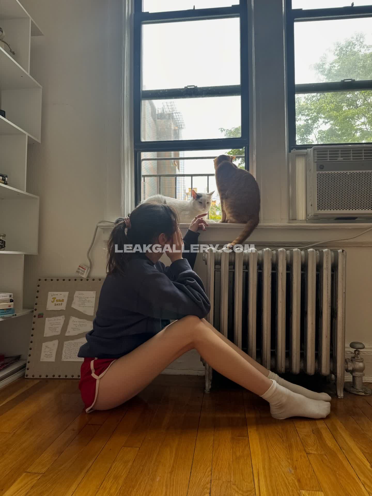 Caitlinerinoneill Exclusive Leaked Nude OnlyFans #9258693