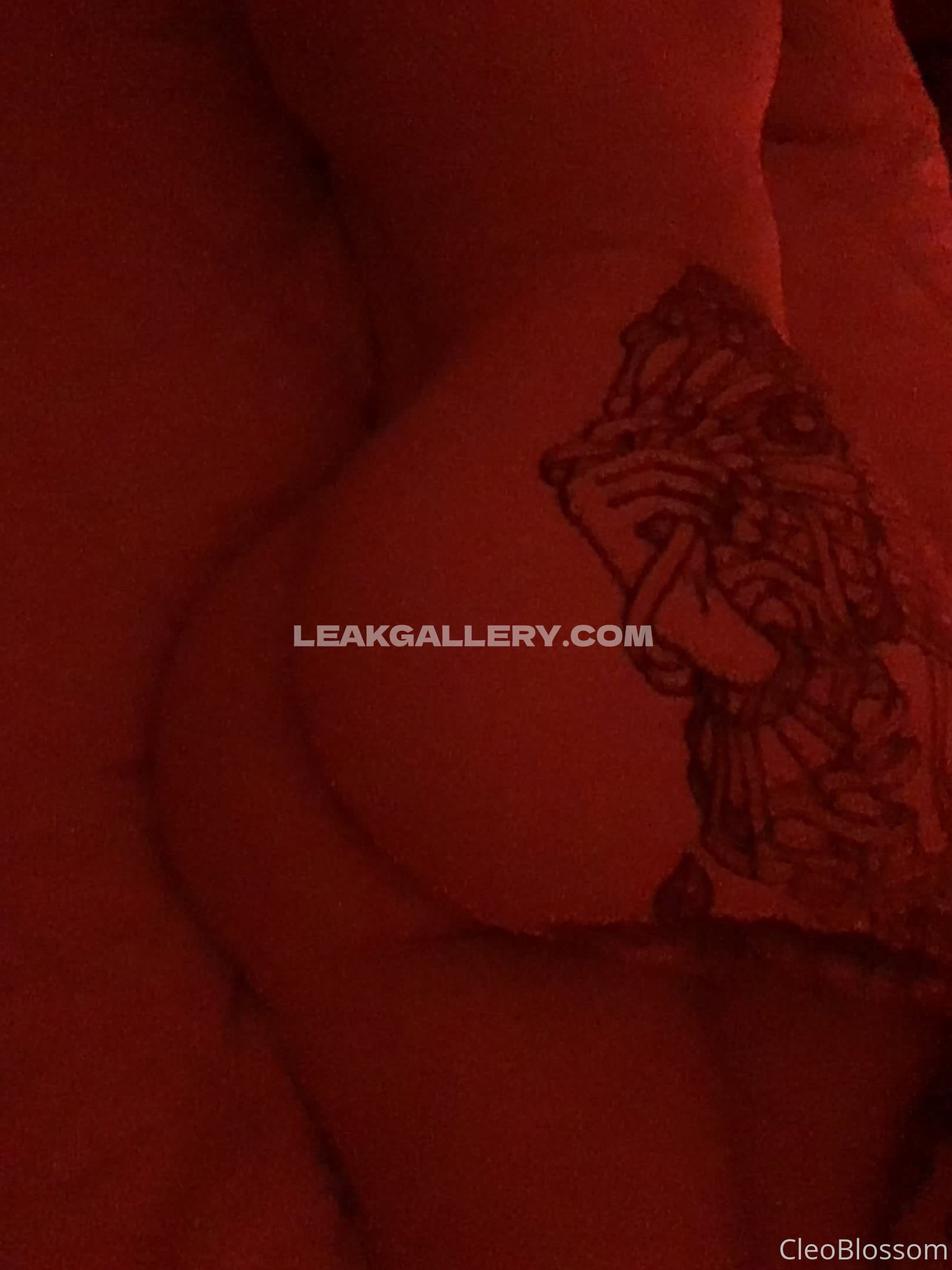 Cleoblossom Exclusive Leaked Nude OnlyFans #9806029