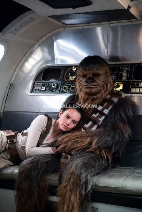 Daisyridley Exclusive Leaked Nude OnlyFans #10729862