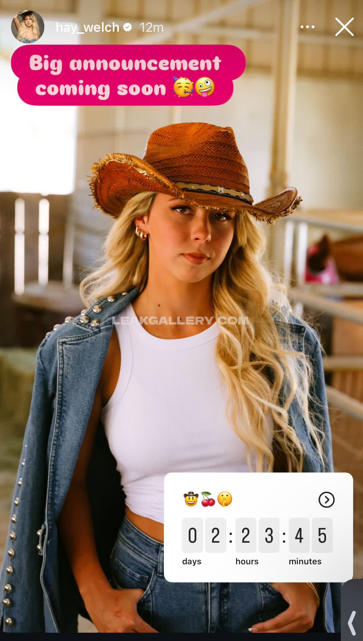 Hay_welch Exclusive Leaked Nude OnlyFans #10414522