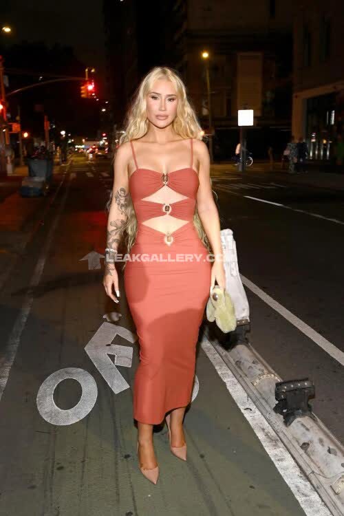 Iggyazalea Exclusive Leaked Nude OnlyFans #10538709