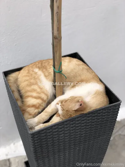 Kkimkkimmy Exclusive Leaked Nude Onlyfans #8665835