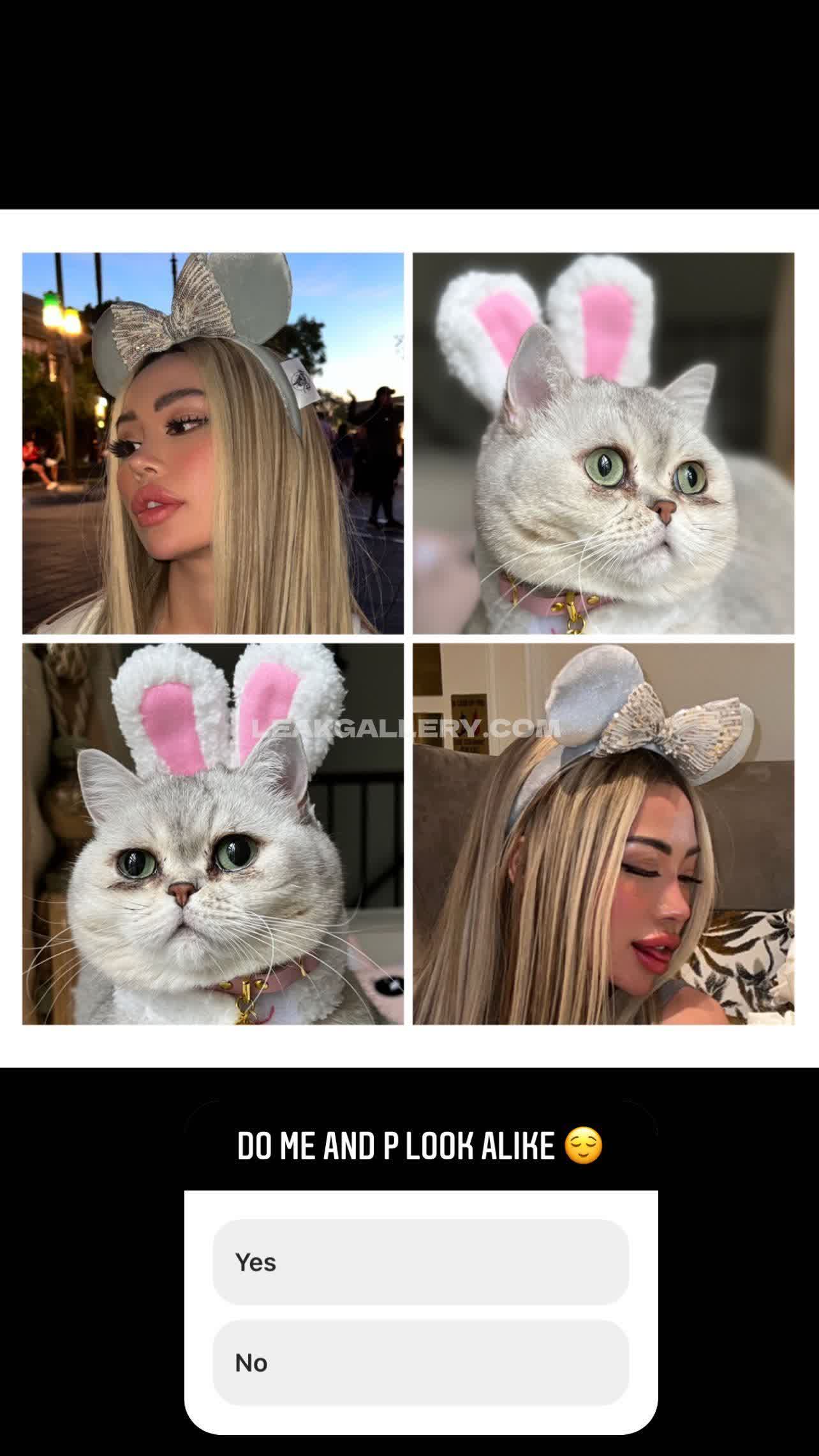 Meowbarbie Exclusive Leaked Nude OnlyFans #8527136