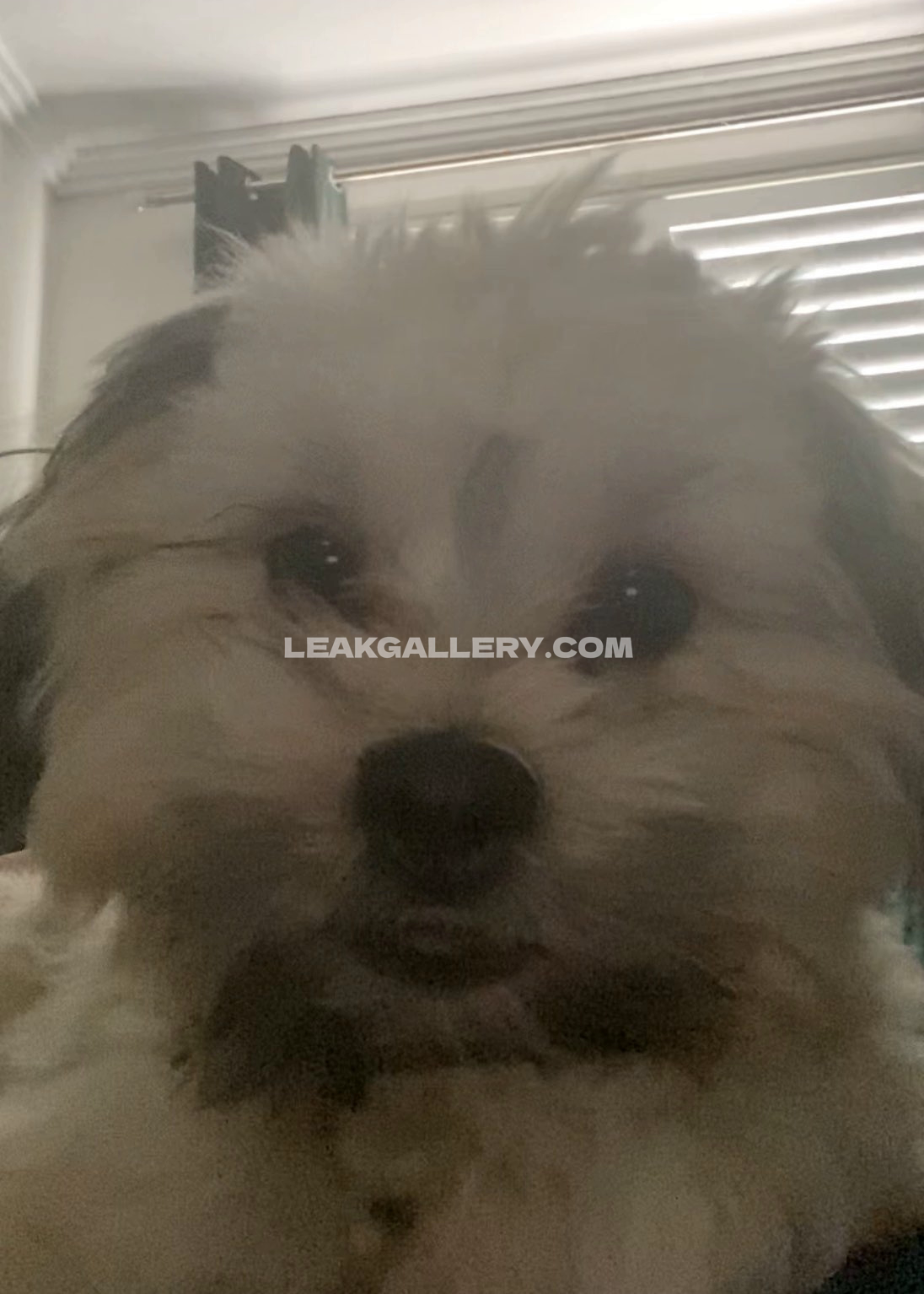 Mikailadelgado Exclusive Leaked Nude OnlyFans #9457466