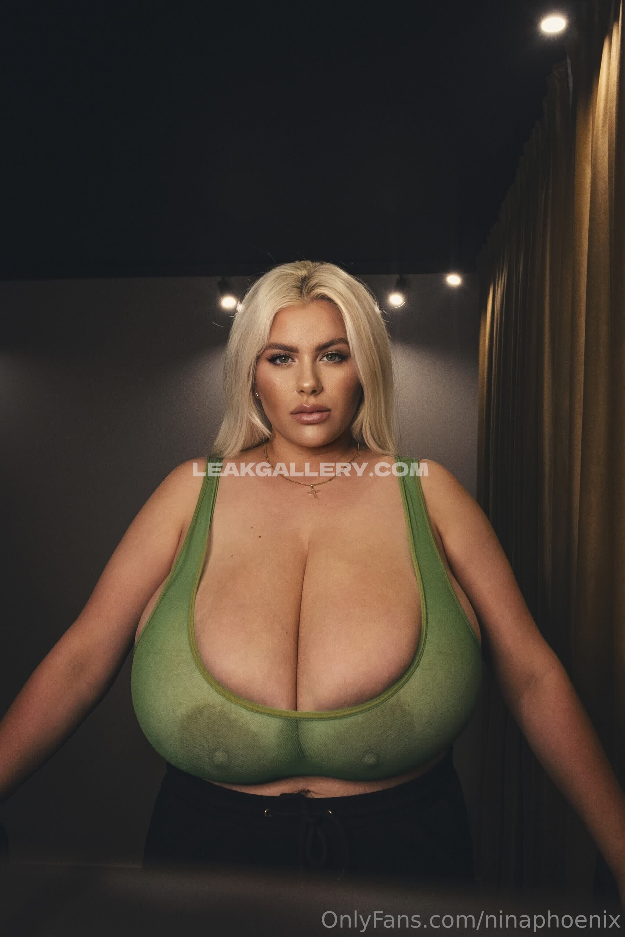 Ninaphoenix Exklusiv geleakte Nacktbilder von OnlyFans #9866564