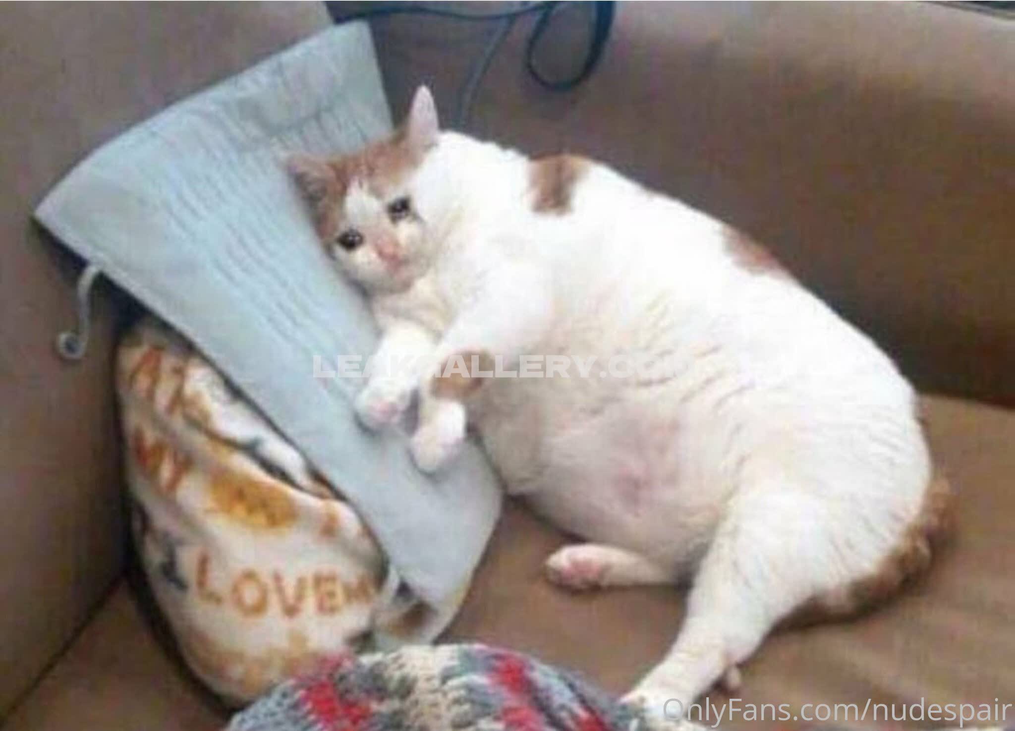 Nudespair Exclusive Leaked Nude OnlyFans #9749334