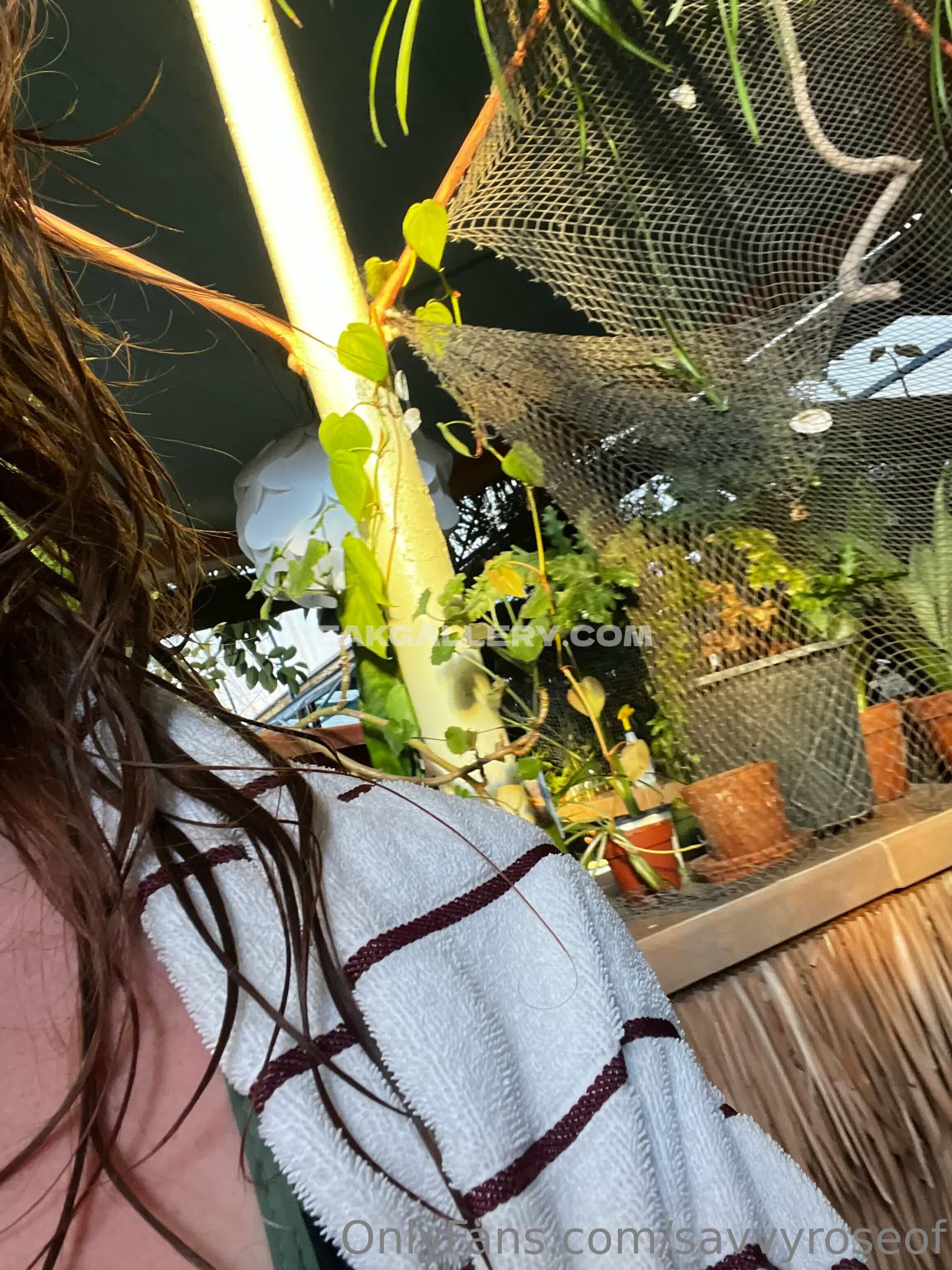 Savvyroseof Exclusive Leaked Nude OnlyFans #10104389