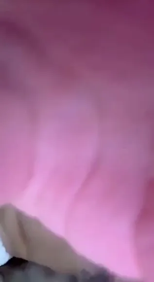 vviz video thumbnail