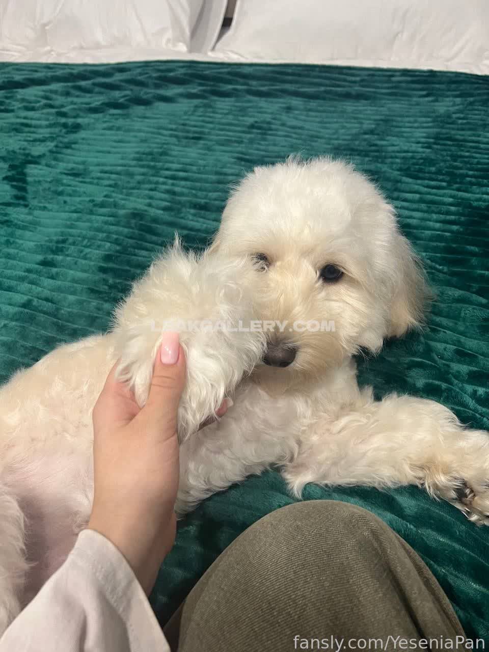 Yeseniapan Exclusive Leaked Nude OnlyFans #9311019