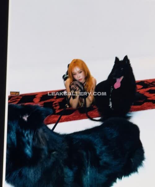 Aerichandesu Exclusive Leaked Nude OnlyFans #11997338