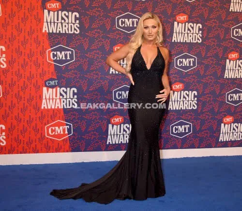 brooke_hogan