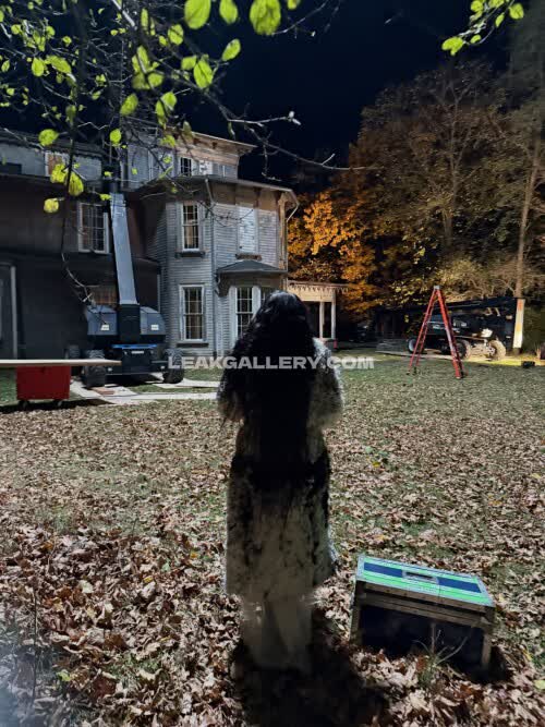 Charli_xcx Exclusive Leaked Nude OnlyFans #11640431