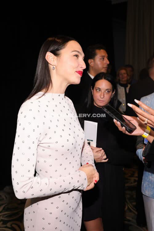 Gal_gadot Exclusive Leaked Nude OnlyFans #11563536