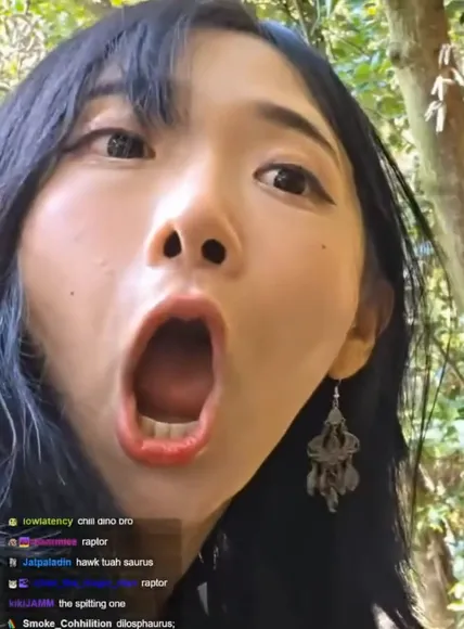 jinnytty