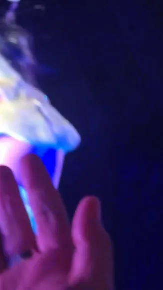 undefined