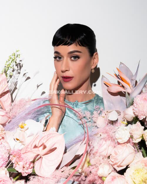 Katy_perry OnlyFans Nudi in Esclusiva Trapela #11608144