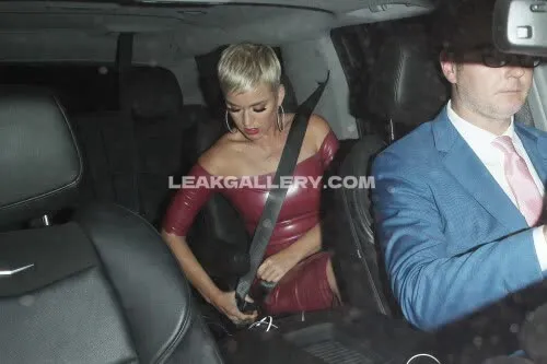 Katy_perry Exclusive Leaked Nude OnlyFans #11591227