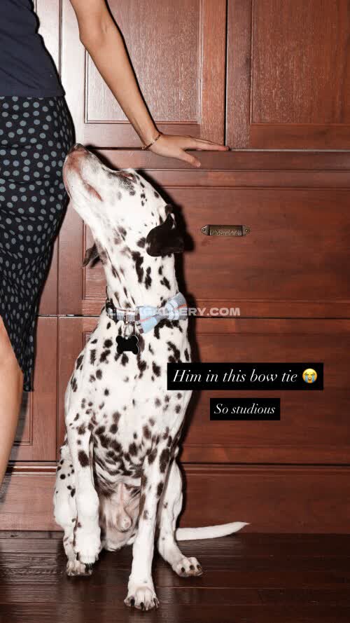 Kloquis Exclusive Leaked Nude OnlyFans #11053236