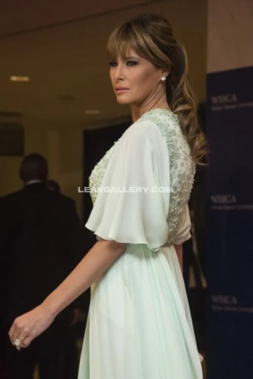 Melania_trump Exclusive Leaked Nude OnlyFans #11300599