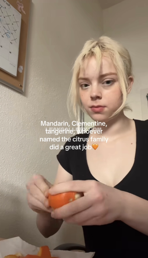 Rachelrustici Exclusive Leaked Nude OnlyFans #11544208