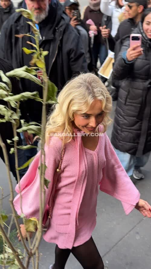 Sabrinacarpenter Exclusive Leaked Nude OnlyFans #11211588