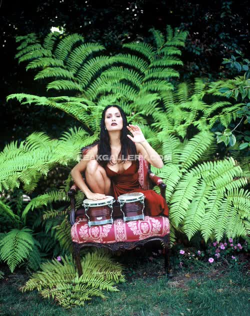 Salmahayek Exclusive Leaked Nude OnlyFans #11787017