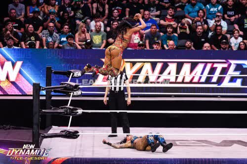 Sashabankswwe Exclusive Leaked Nude OnlyFans #11096519