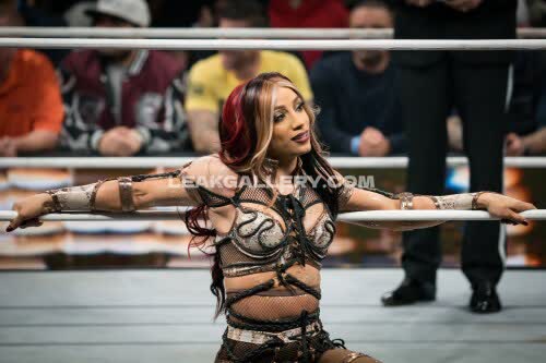 Sashabankswwe Exclusive Leaked Nude OnlyFans #11116031