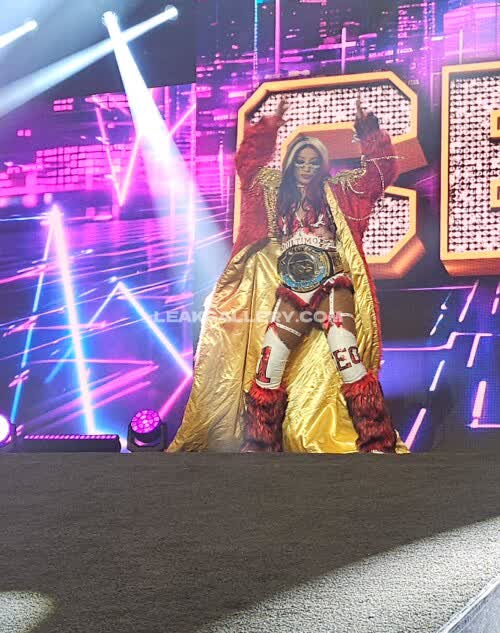 Sashabankswwe Exclusive Leaked Nude OnlyFans #11157511