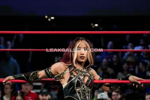 Sashabankswwe Exclusive Leaked Nude OnlyFans #11117315