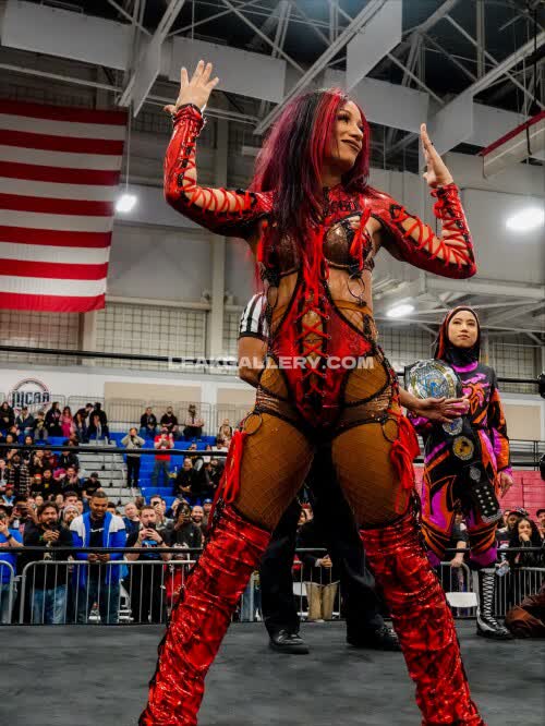 Sashabankswwe Exclusive Leaked Nude OnlyFans #11161388