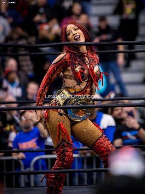 Sashabankswwe Exclusive Leaked Nude OnlyFans #11161386