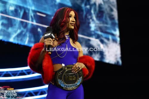 Sashabankswwe Exclusive Leaked Nude OnlyFans #11106620