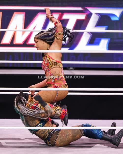Sashabankswwe Exclusive Leaked Nude OnlyFans #11173328