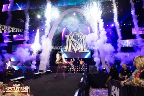 Sashabankswwe Exclusive Leaked Nude OnlyFans #11172155