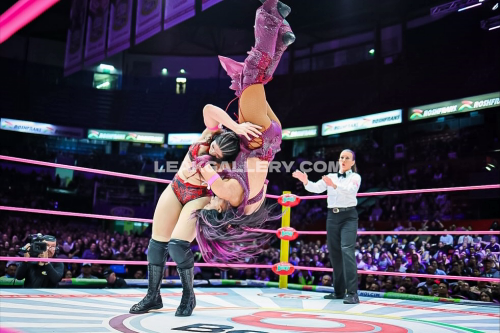 Sashabankswwe Exclusive Leaked Nude OnlyFans #11092486