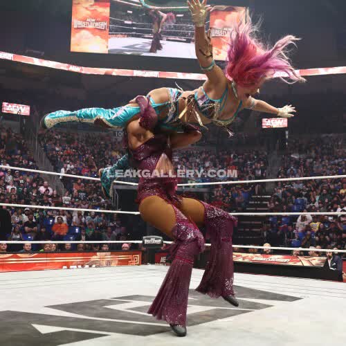 Sashabankswwe Exclusive Leaked Nude OnlyFans #11096174