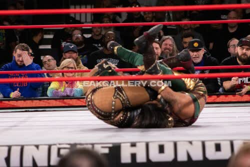 Sashabankswwe Exclusive Leaked Nude OnlyFans #11121099