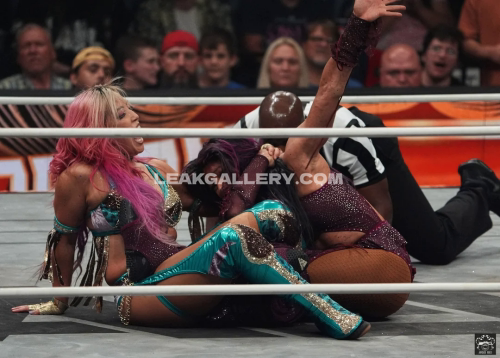 Sashabankswwe Exclusive Leaked Nude OnlyFans #11094328