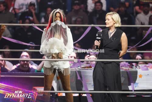 Sashabankswwe Exclusive Leaked Nude OnlyFans #11138756