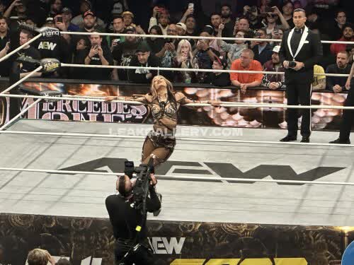 Sashabankswwe Exclusive Leaked Nude OnlyFans #11146762
