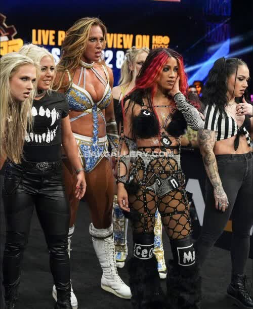 Sashabankswwe Exclusive Leaked Nude OnlyFans #11142666