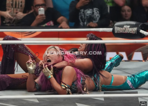 Sashabankswwe Exclusive Leaked Nude OnlyFans #11105932