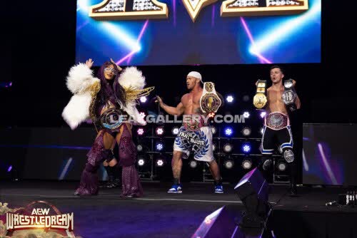 Sashabankswwe Exclusive Leaked Nude OnlyFans #11112172