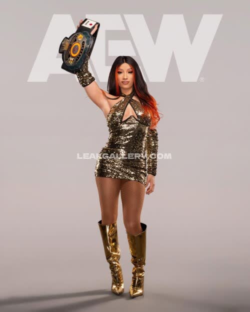 Sashabankswwe Exclusive Leaked Nude OnlyFans #11157444