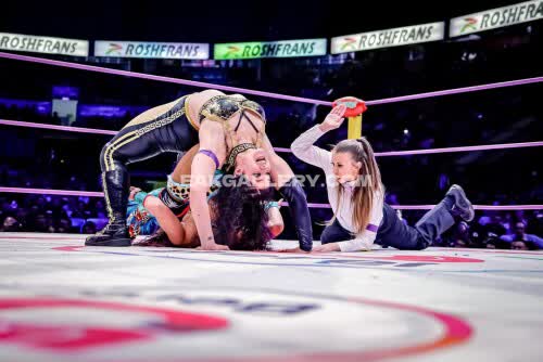 Sashabankswwe Exclusive Leaked Nude OnlyFans #11150559