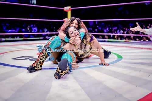 Sashabankswwe Exclusive Leaked Nude OnlyFans #11131054