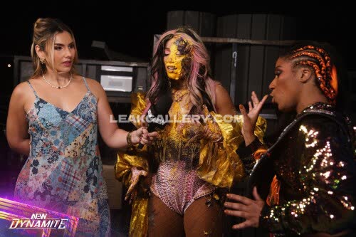 Sashabankswwe Exclusive Leaked Nude OnlyFans #11179252