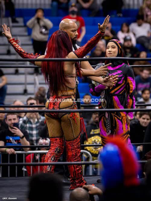 Sashabankswwe Exclusive Leaked Nude OnlyFans #11114478